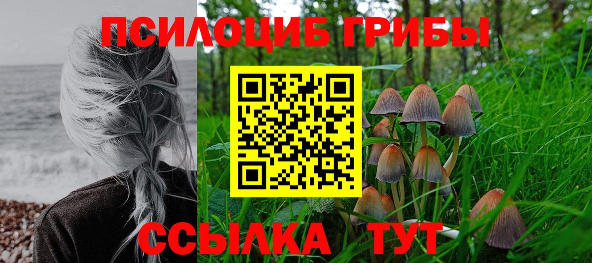 Псилоцибиновые грибы Cubensis  Вход с VPN  Кропоткин 